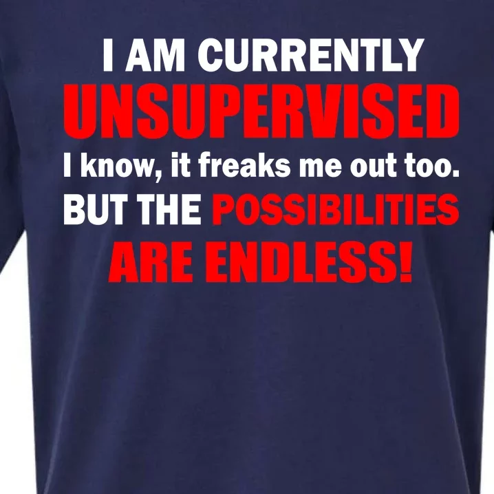 Currently Unsupervised Possibilities Are Endless Sueded Cloud Jersey T-Shirt