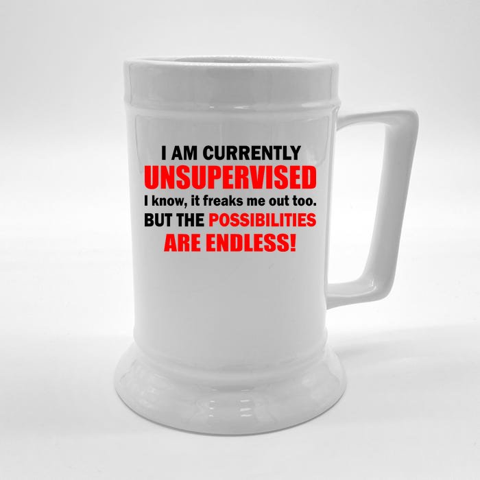 Currently Unsupervised Possibilities Are Endless Front & Back Beer Stein