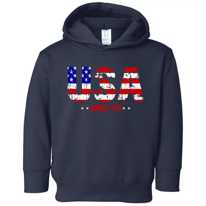 Chill Usa Since 1776 Toddler Hoodie