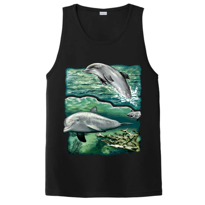 Cute Abstract dolphins In Sea Life Performance Tank