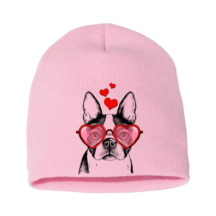 Cute Boston Terrier Short Acrylic Beanie