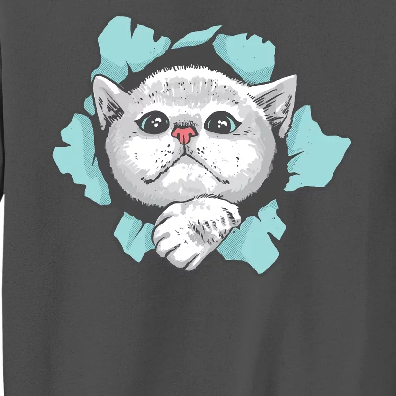 Cute Cat Through Hole Tall Sweatshirt