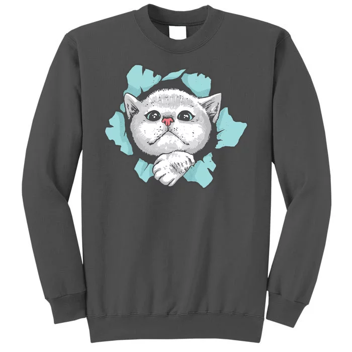 Cute Cat Through Hole Tall Sweatshirt