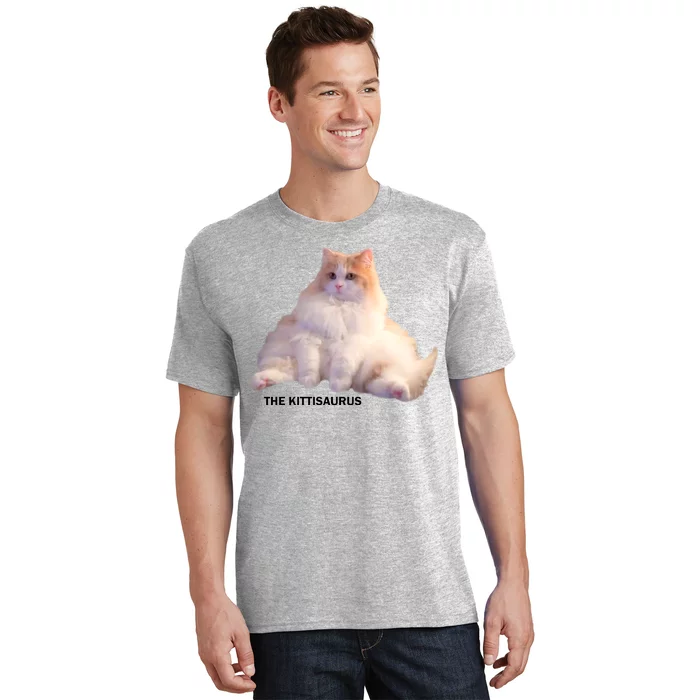 Pretty Cat Don't Be A Kittisaurus Shirt - T-shirtbear