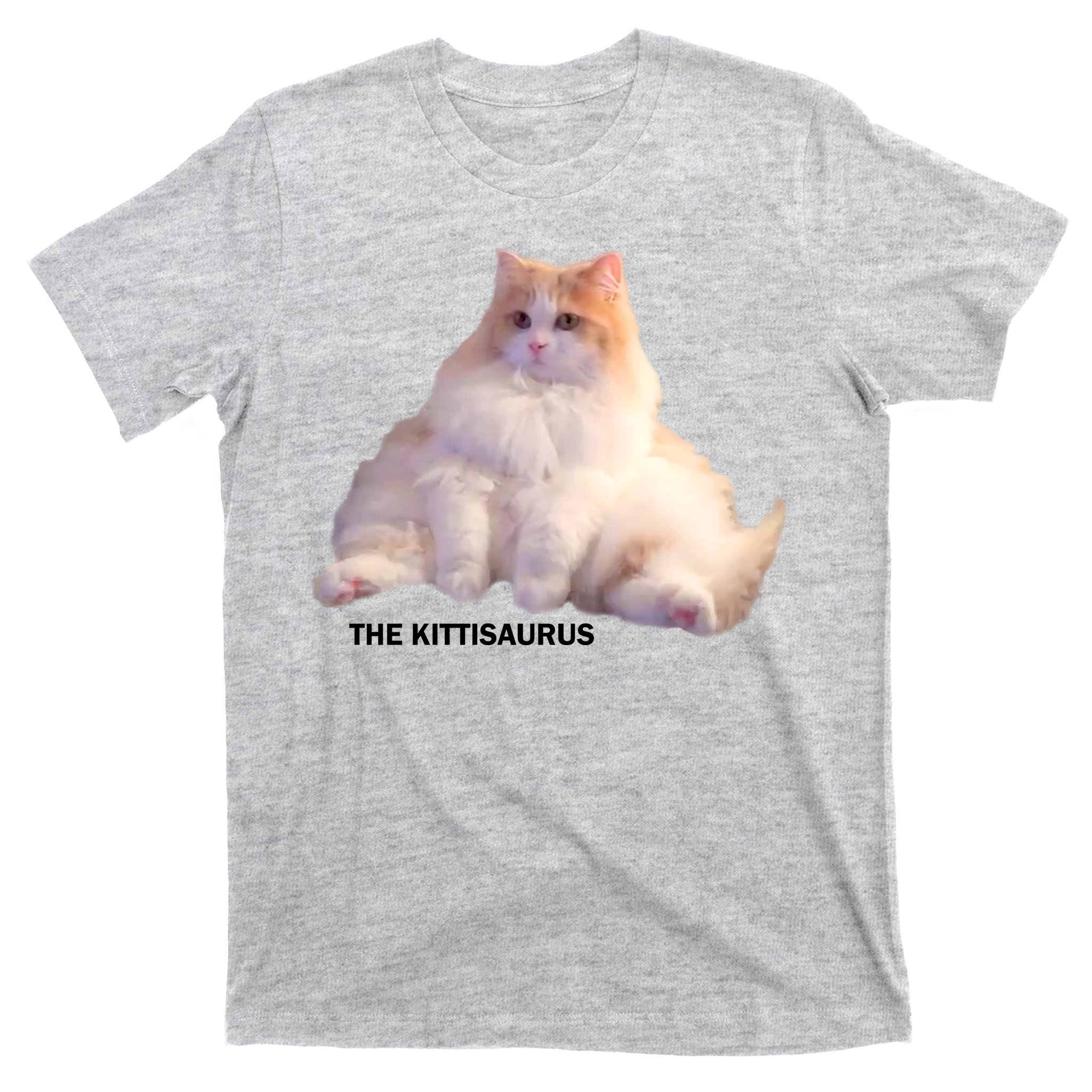 men's funny premium t-shirt Fluffy cat 