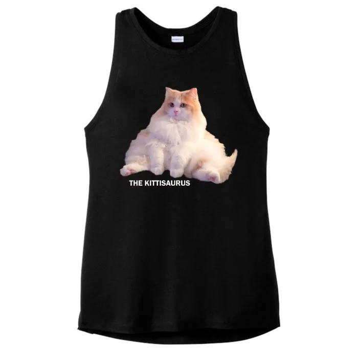 Cute DD The Cat Kittisaurus Ladies Tri-Blend Wicking Tank