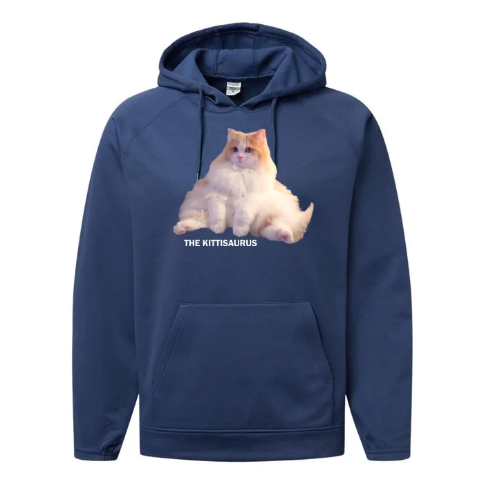 Cute DD The Cat Kittisaurus Performance Fleece Hoodie