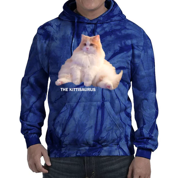 Cute DD The Cat Kittisaurus Tie Dye Hoodie