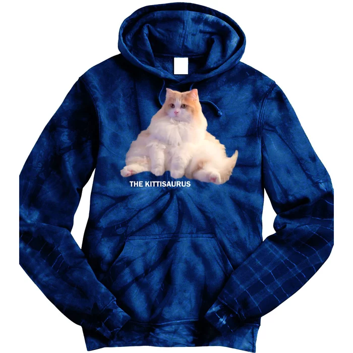 Cute DD The Cat Kittisaurus Tie Dye Hoodie