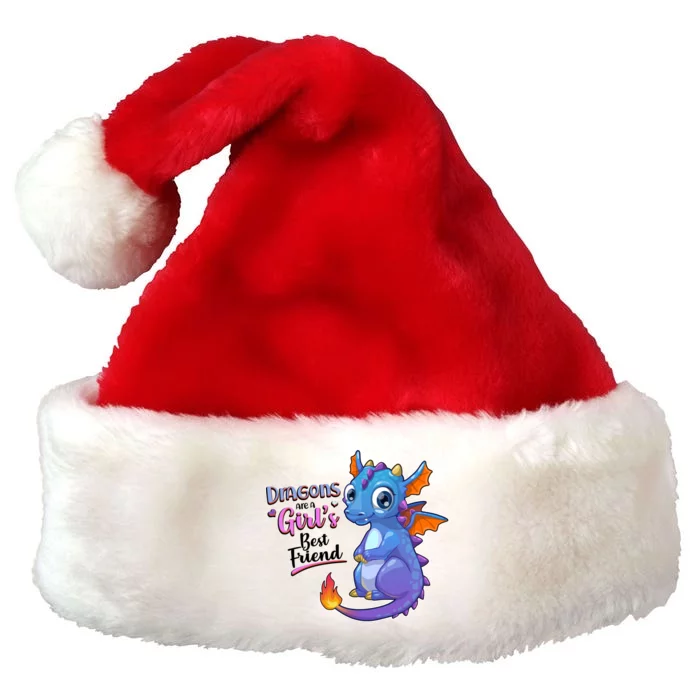 Cute Dragons Are A Girl's Best Friend Premium Christmas Santa Hat