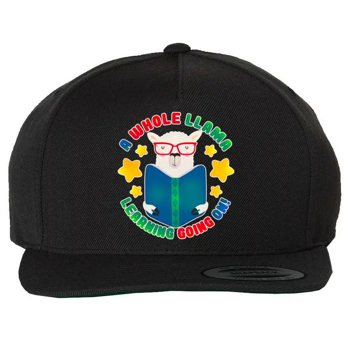 Cute Educational - A Whole Llama Learning Wool Snapback Cap