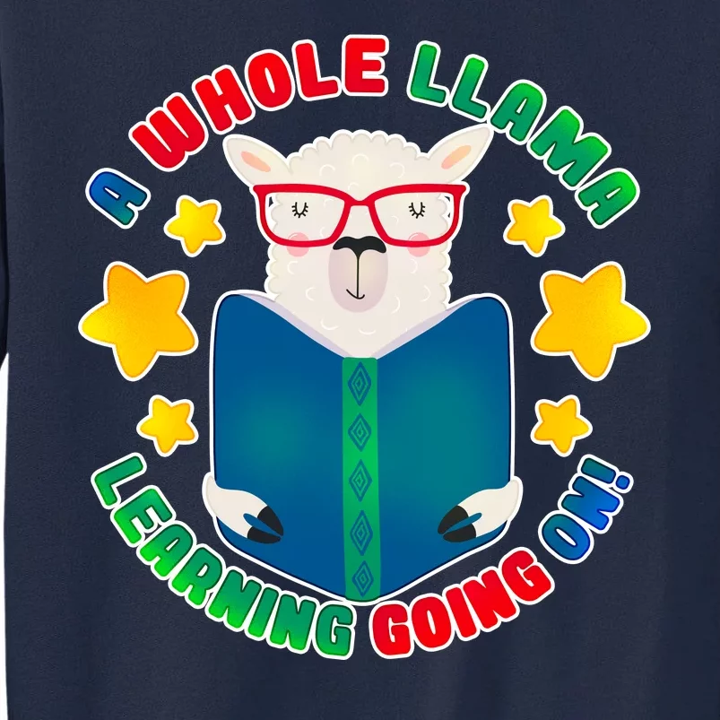 Cute Educational - A Whole Llama Learning Tall Sweatshirt