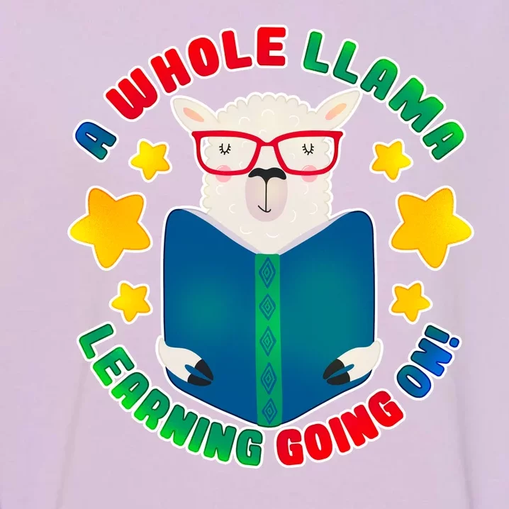 Cute Educational - A Whole Llama Learning Garment-Dyed Sweatshirt