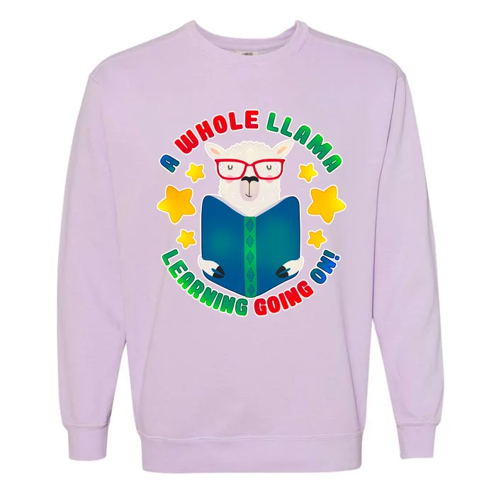 Cute Educational - A Whole Llama Learning Garment-Dyed Sweatshirt