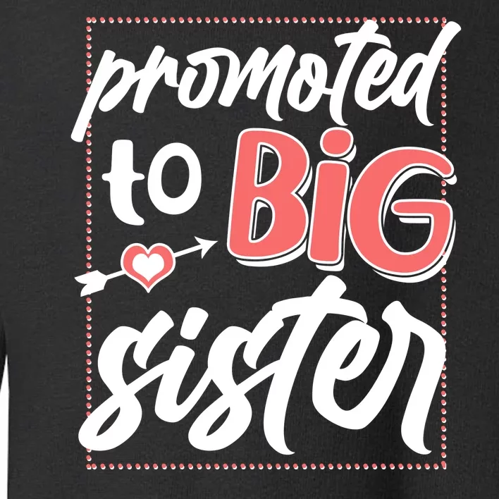 Cute Promoted To BIG Sister Toddler Sweatshirt