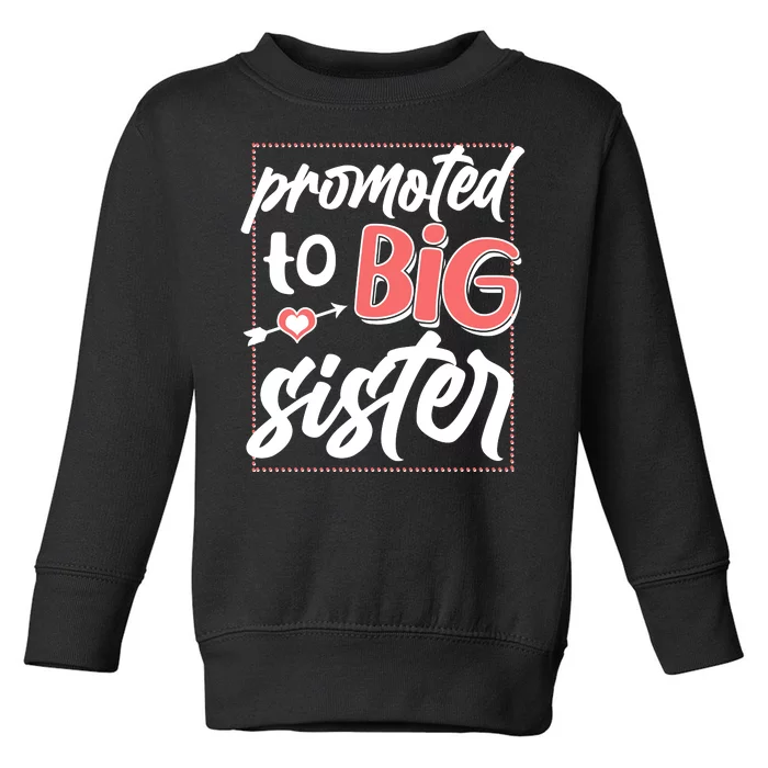 Cute Promoted To BIG Sister Toddler Sweatshirt