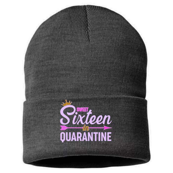 Cute Sweet Sixteen in Quarantine Sustainable Knit Beanie