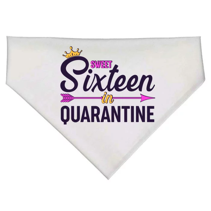 Cute Sweet Sixteen in Quarantine USA-Made Doggie Bandana