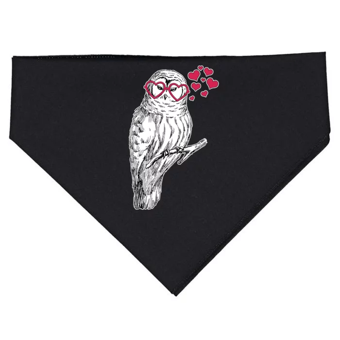 Cute Valentine's Day Heart Glasses Owl Love USA-Made Doggie Bandana