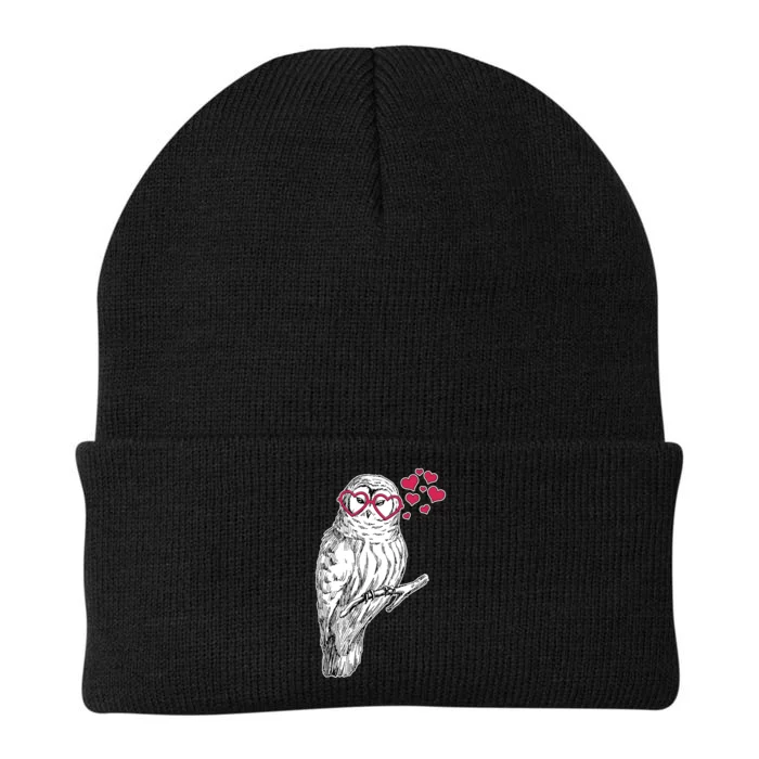 Cute Valentine's Day Heart Glasses Owl Love Knit Cap Winter Beanie