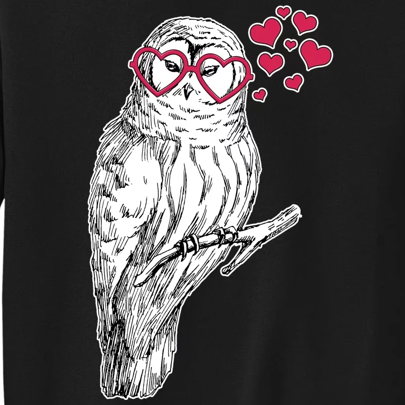 Cute Valentine's Day Heart Glasses Owl Love Tall Sweatshirt