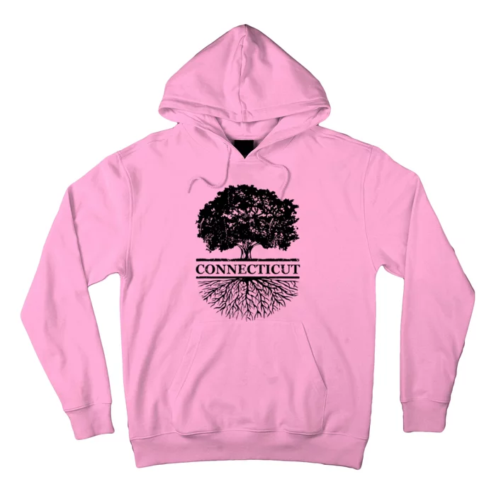 Connecticut Vintage Roots Outdoors Souvenir Hoodie