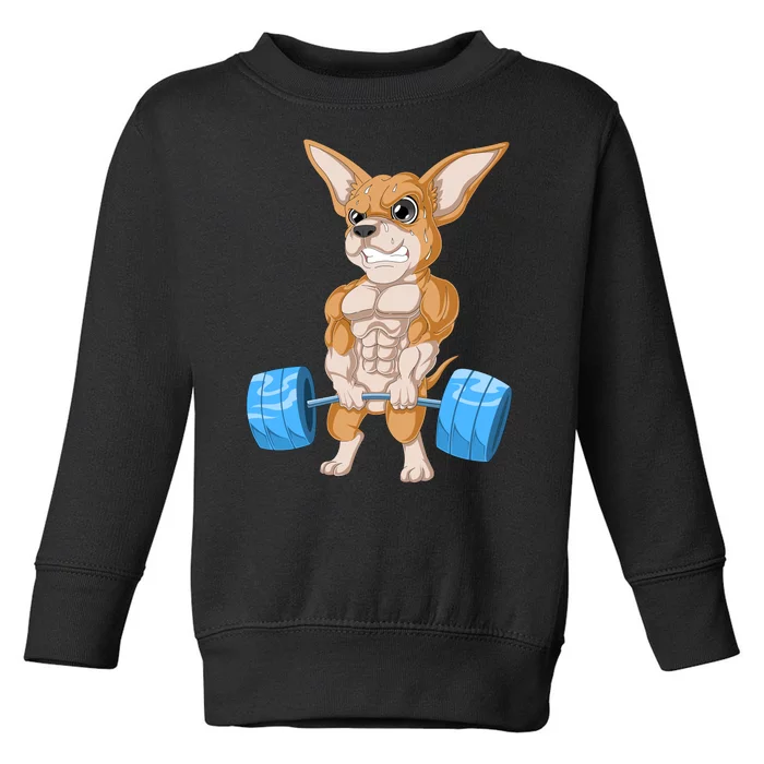 Chihuahua Weightlifting Toddler Sweatshirt