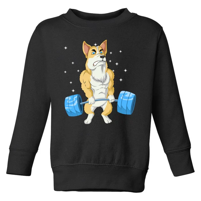 Corgi Weightlifting Toddler Sweatshirt