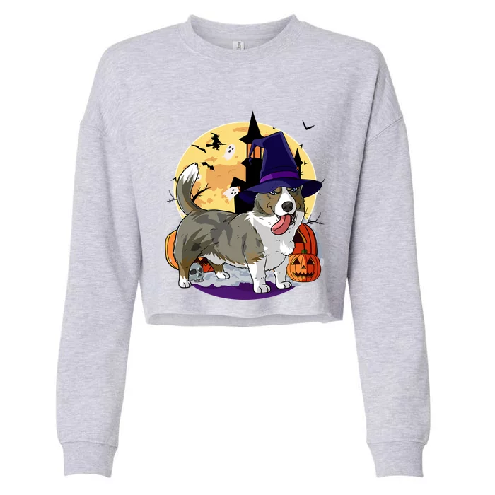 Cardigan Welsh Corgi Cute Dog Halloween Witch Pumpkin Cute Gift Cropped Pullover Crew