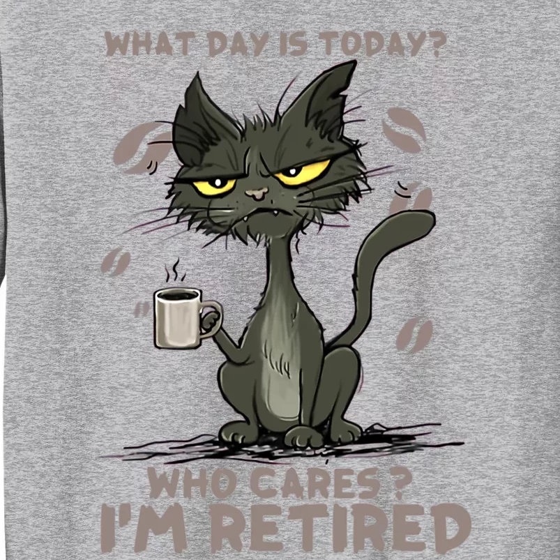 Cat What Day Is Today Who Cares I‘m Retired Tall Sweatshirt