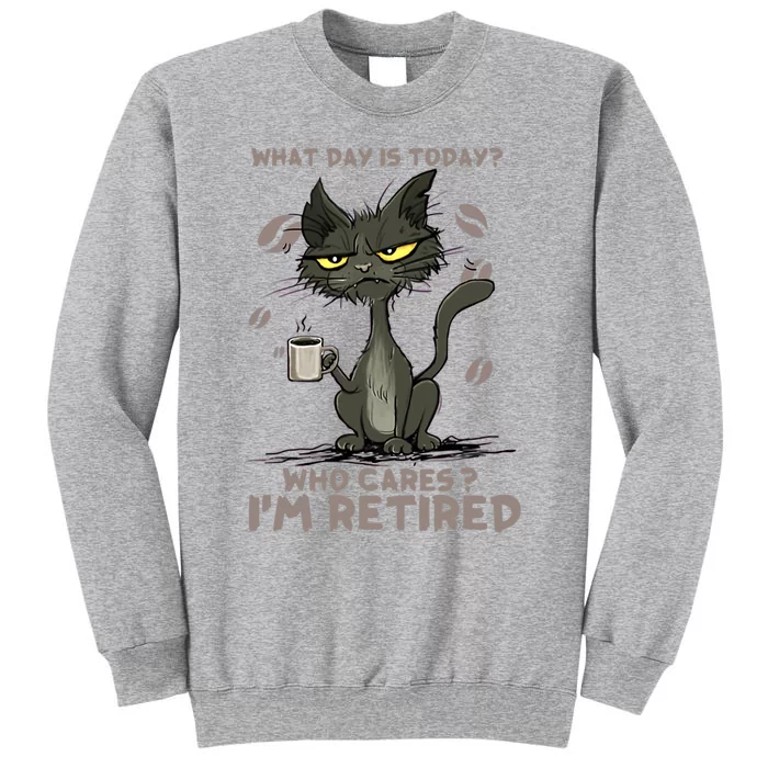 Cat What Day Is Today Who Cares I‘m Retired Tall Sweatshirt