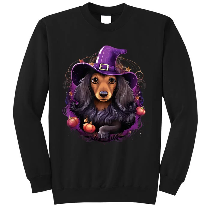 Cute Witch Funny Dachshund Halloween Costume Dog Lover Tall Sweatshirt