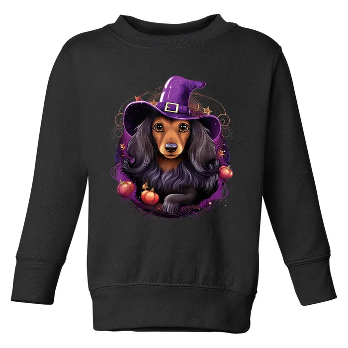 Cute Witch Funny Dachshund Halloween Costume Dog Lover Toddler Sweatshirt