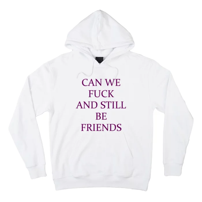 Can We Fuck Still Be Friends Funny Offensive Saying Quote Hoodie