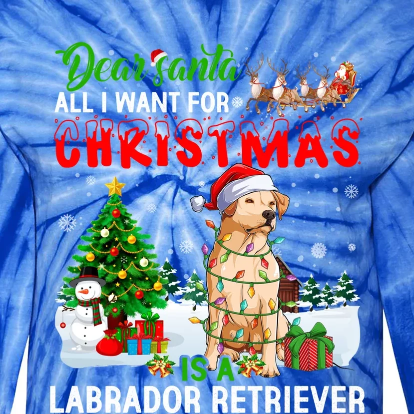 Christmas With Labrador Retriever Santa Family Xmas Pajama Cool Gift Tie-Dye Long Sleeve Shirt