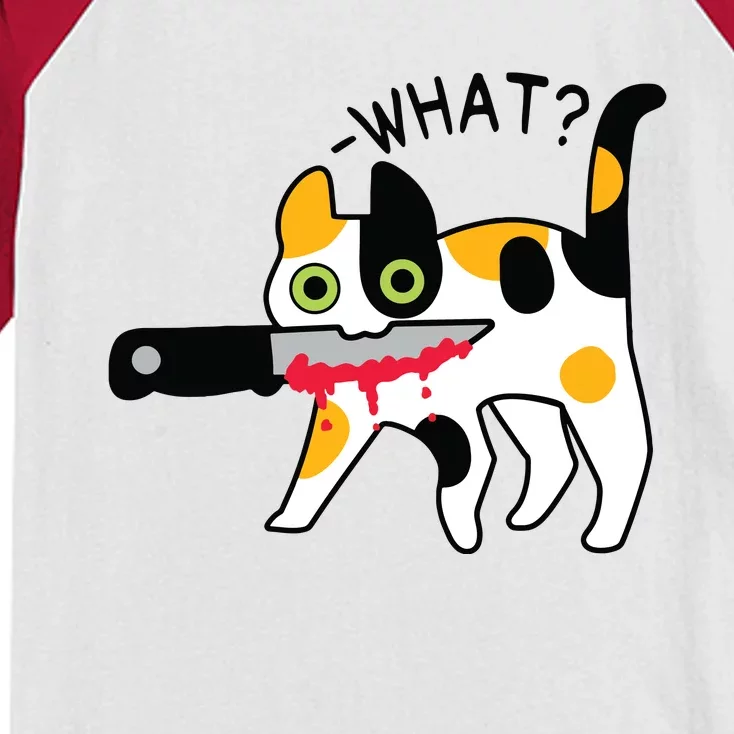 Cat What Murderous Calico Cat With Knife Halloween Costume Kids Colorblock Raglan Jersey