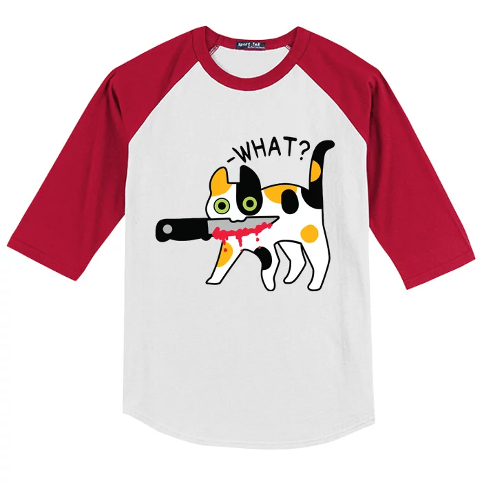 Cat What Murderous Calico Cat With Knife Halloween Costume Kids Colorblock Raglan Jersey