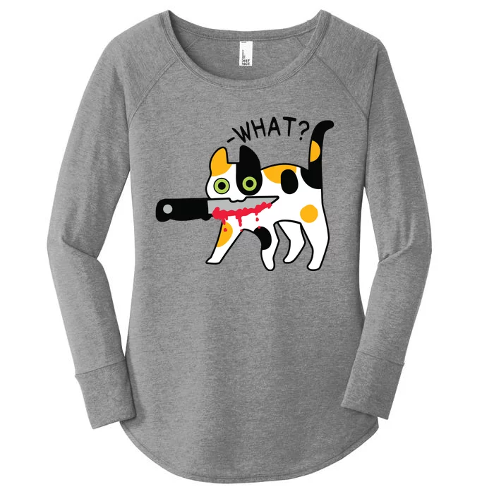 Cat What Murderous Calico Cat With Knife Halloween Costume Women's Perfect Tri Tunic Long Sleeve Shirt