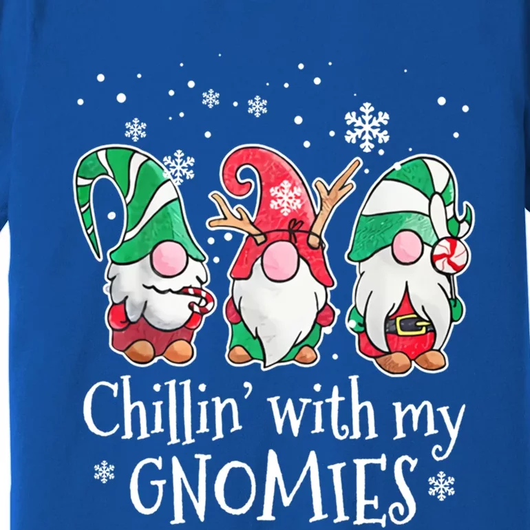 Chillin With My Gnomies Gift Premium T-Shirt