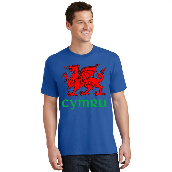 Cymru Welsh Pride Gift Red Dragon Of Wales Flag Funny Gift T-Shirt