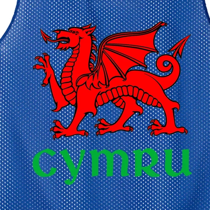 Cymru Welsh Pride Gift Red Dragon Of Wales Flag Funny Gift Mesh Reversible Basketball Jersey Tank