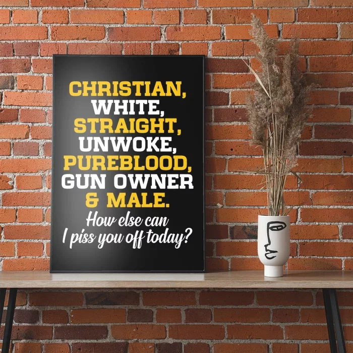 Christian White Straight Unwoke Pureblood Gun Owner & Male Poster