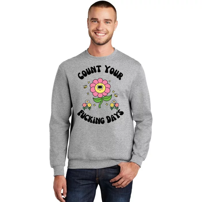 Count Your Fucking Days Sweatshirt