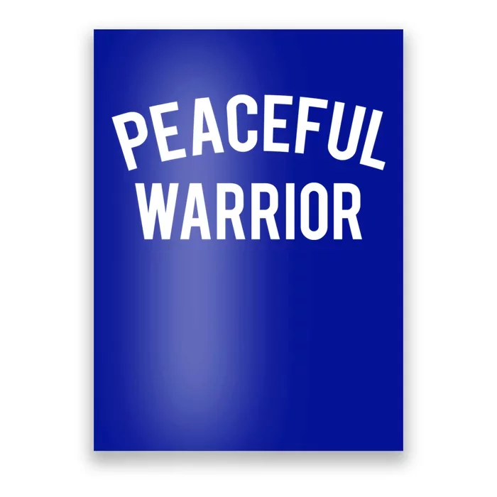 Cool Yoga Funny Gift Peaceful Warrior Gift Funny Gift Poster