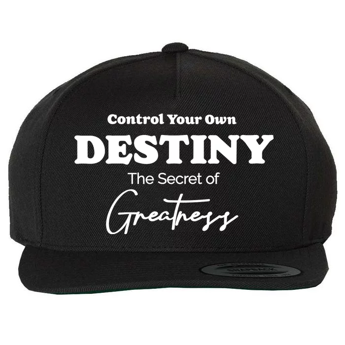 Control Your Own Destiny The Secret Of Greatness Wool Snapback Cap