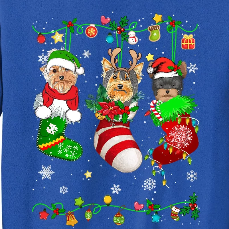 Cute Yorkshire Terrier Dog In Christmas Socks Pet Lover Gift Tall Sweatshirt