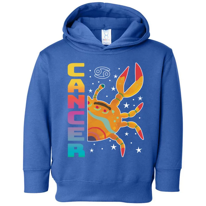 Cancer Zodiac Sign Facts Retro Vintage Astrology Gift Toddler Hoodie