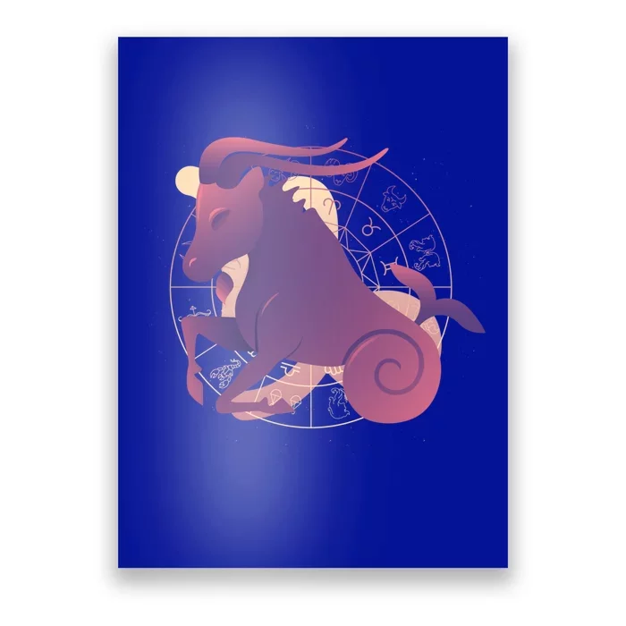 Capricorn Zodiac Sign Astrology Funny Gift Poster