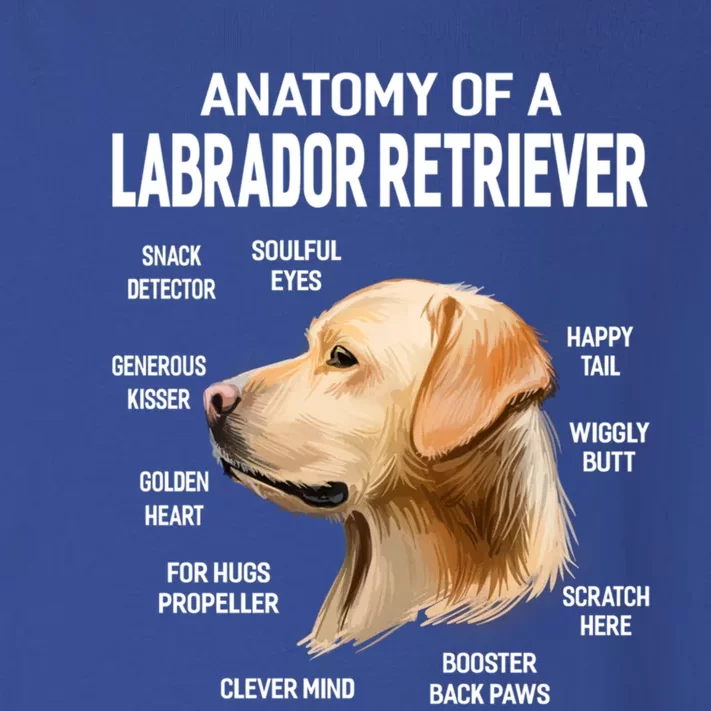 Dogs 365 Anatomy Of A Labrador Retriever Dog Funny Gift Toddler Long Sleeve Shirt