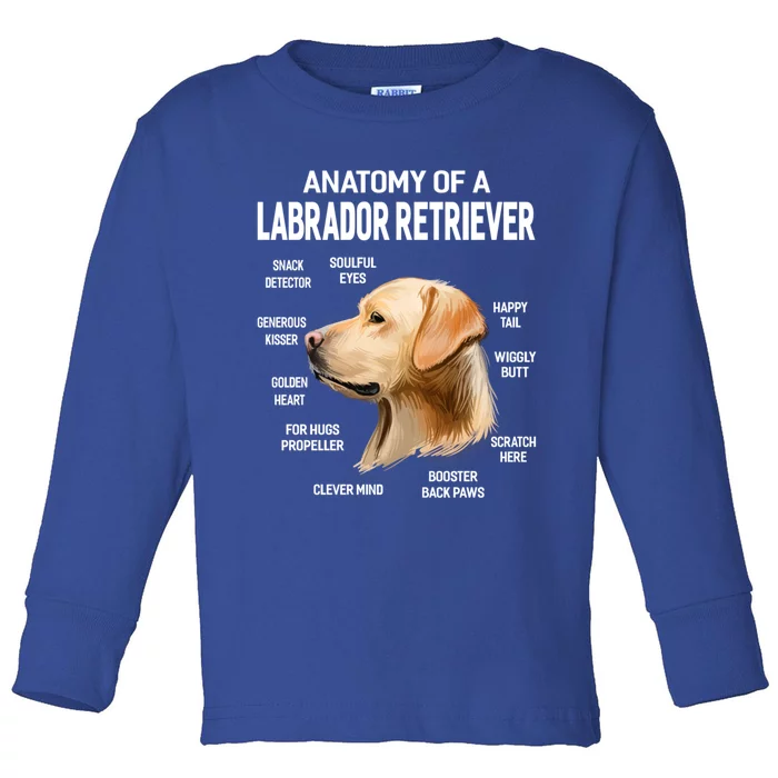 Dogs 365 Anatomy Of A Labrador Retriever Dog Funny Gift Toddler Long Sleeve Shirt